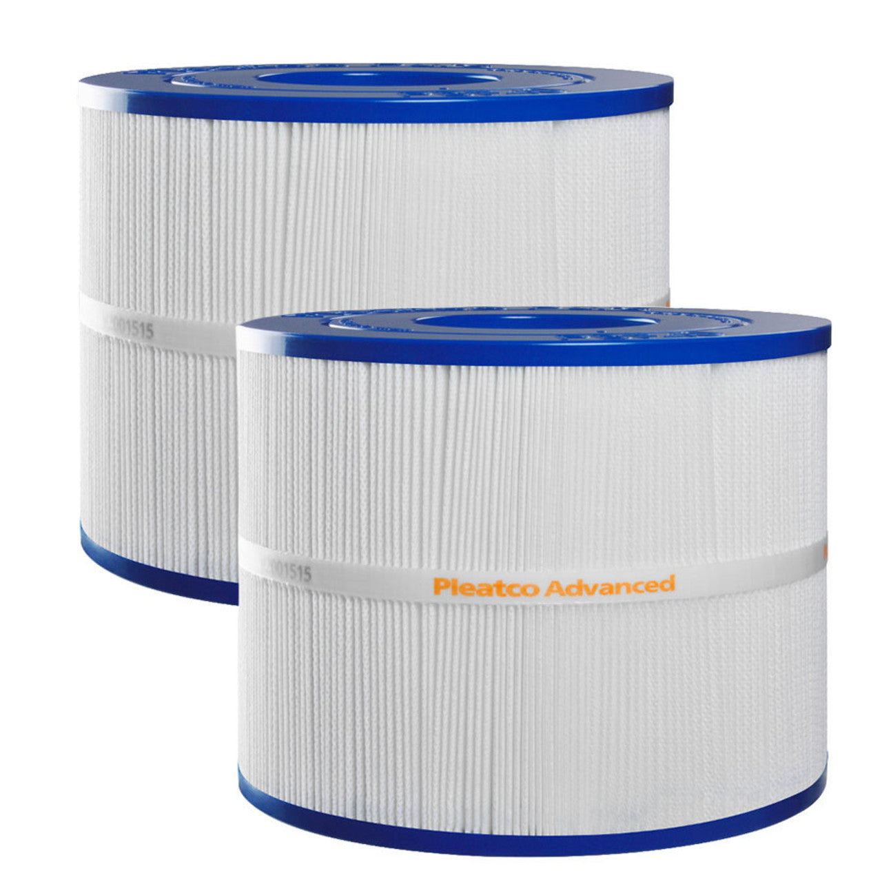 Pleatco Filtre Pleatco PBF40 pour spas Bullfrog - Lot de 2