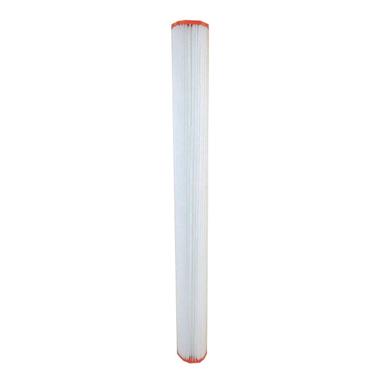 Unicel Filtre Unicel C-2613 pour Pentair Lifeguard CL-29