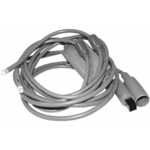 Sloan LED Dual Light Bulb Strand (50" Cord)