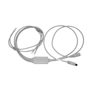 Sloan LED Quad Light Bulb Strand (50" Cord)