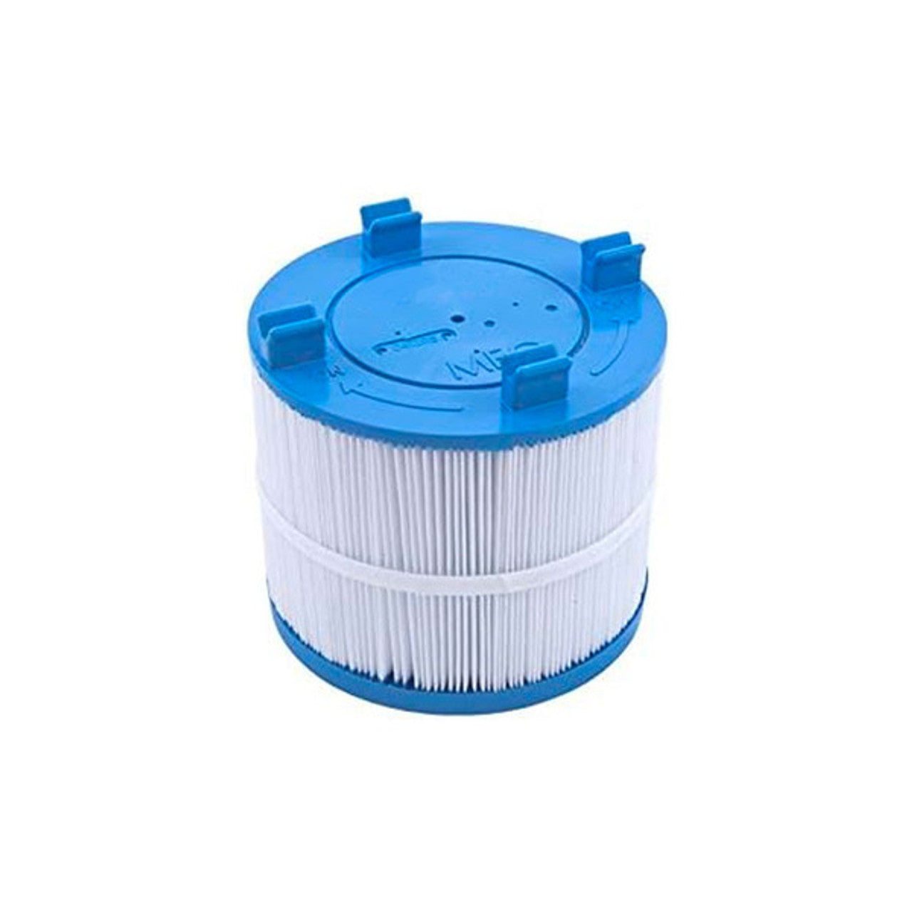 Unicel SpaBerry Filter